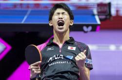 爱游戏APP-中国乒乓球队逆转德国乒乓球队，水谷隼高光表现的简单介绍