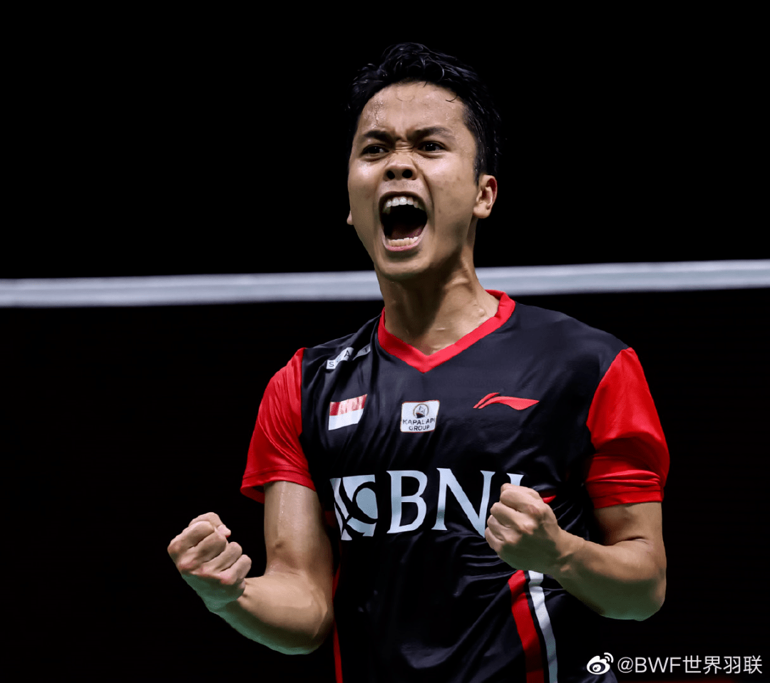日本队轻取中国队，戴资颖状态火热的简单介绍
