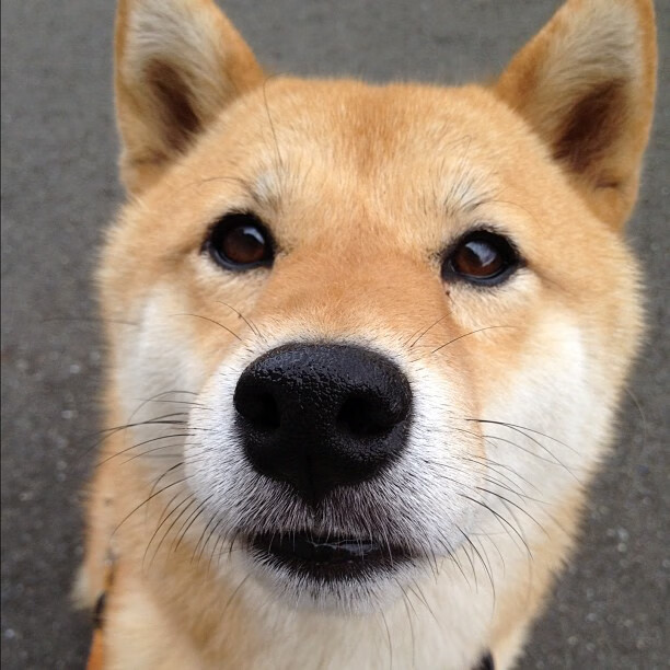 西决生死战焦点战，卡塔尔资本如何压制比利亚雷亚尔的传统足球哲学？