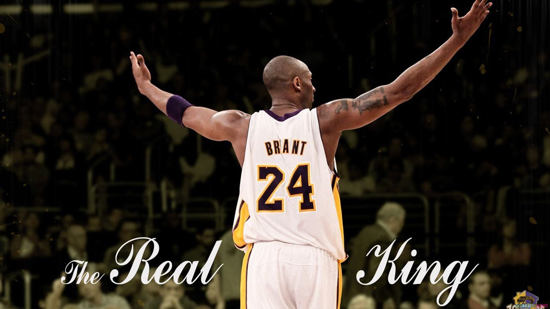 塞维利亚的黄昏，当芬兰悬念被提前终结，法比尼奥的钢铁意志如何为欧罗巴写下新注脚